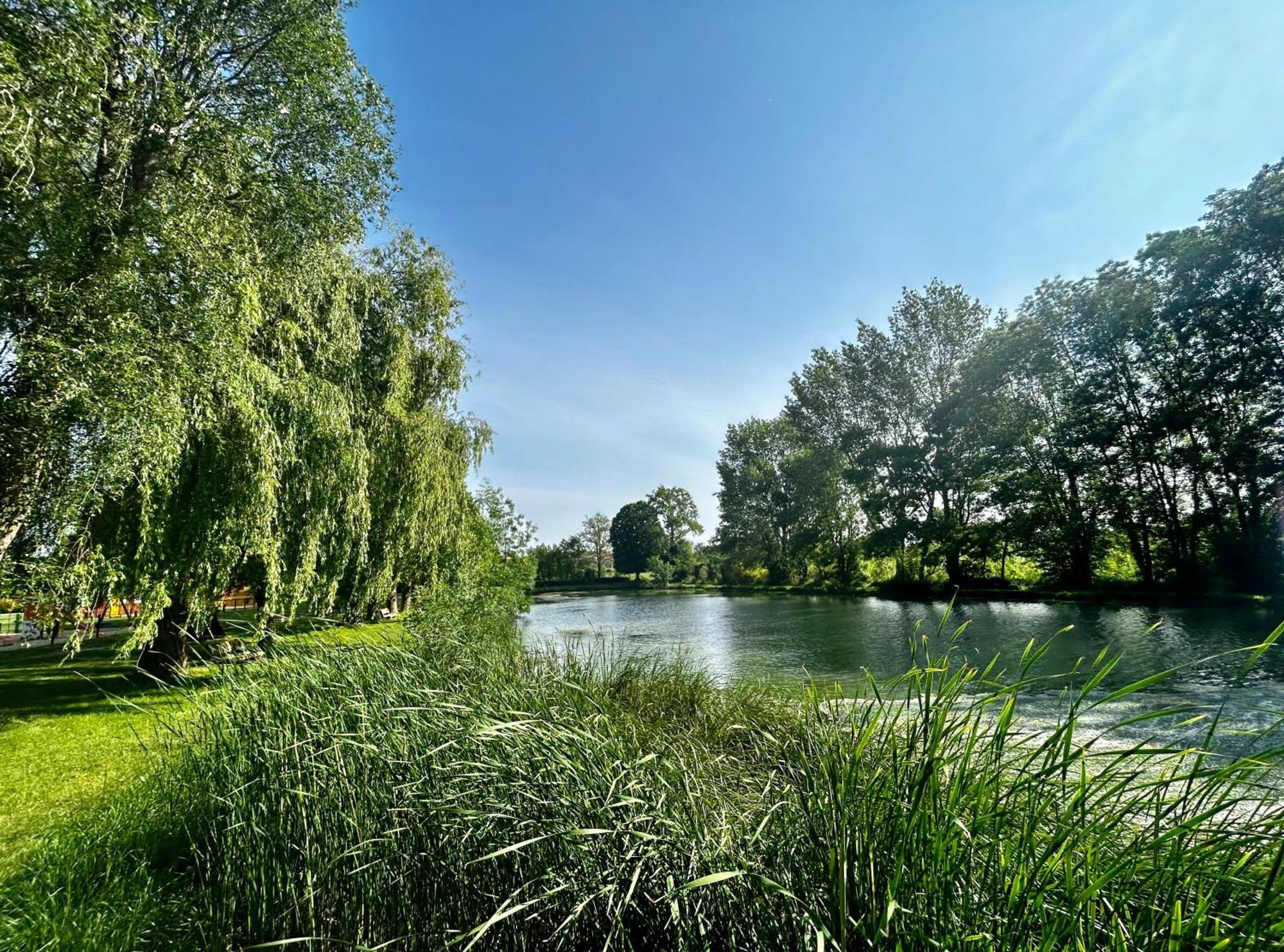 Les Cabanes Du Lac Vandré Esterno foto